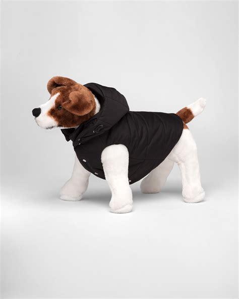 prada pets|prada for dogs.